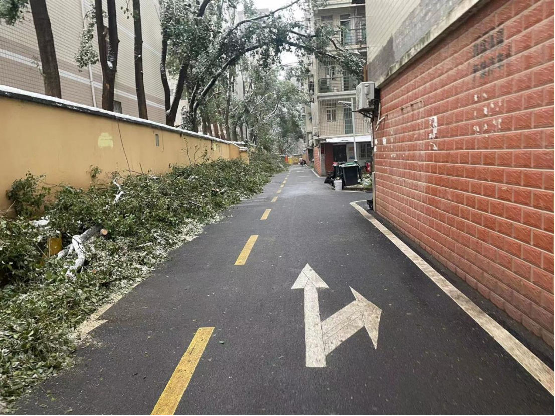 首页| 尊龙·Z6(中国集团)官方网站